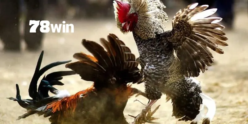 Chọn đúng đơn vị bạn sẽ dễ dàng có được dự đoán chuẩn xác